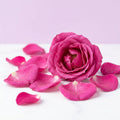 Rose Water